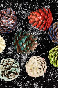 Pinecones painted for a flower arrangement.