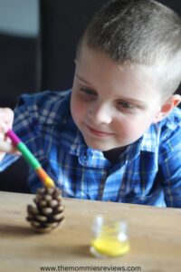 A boy painting pinecones.