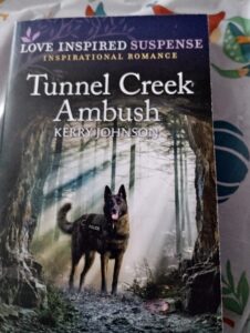 Tunnel Creek Ambush (Love Inspired Suspense) by Kerry Johnson (Author)