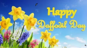 August 22 Daffodil Day #DaffodilDay