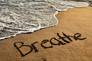 Ultimate Blog Challenge: January 26, 2026