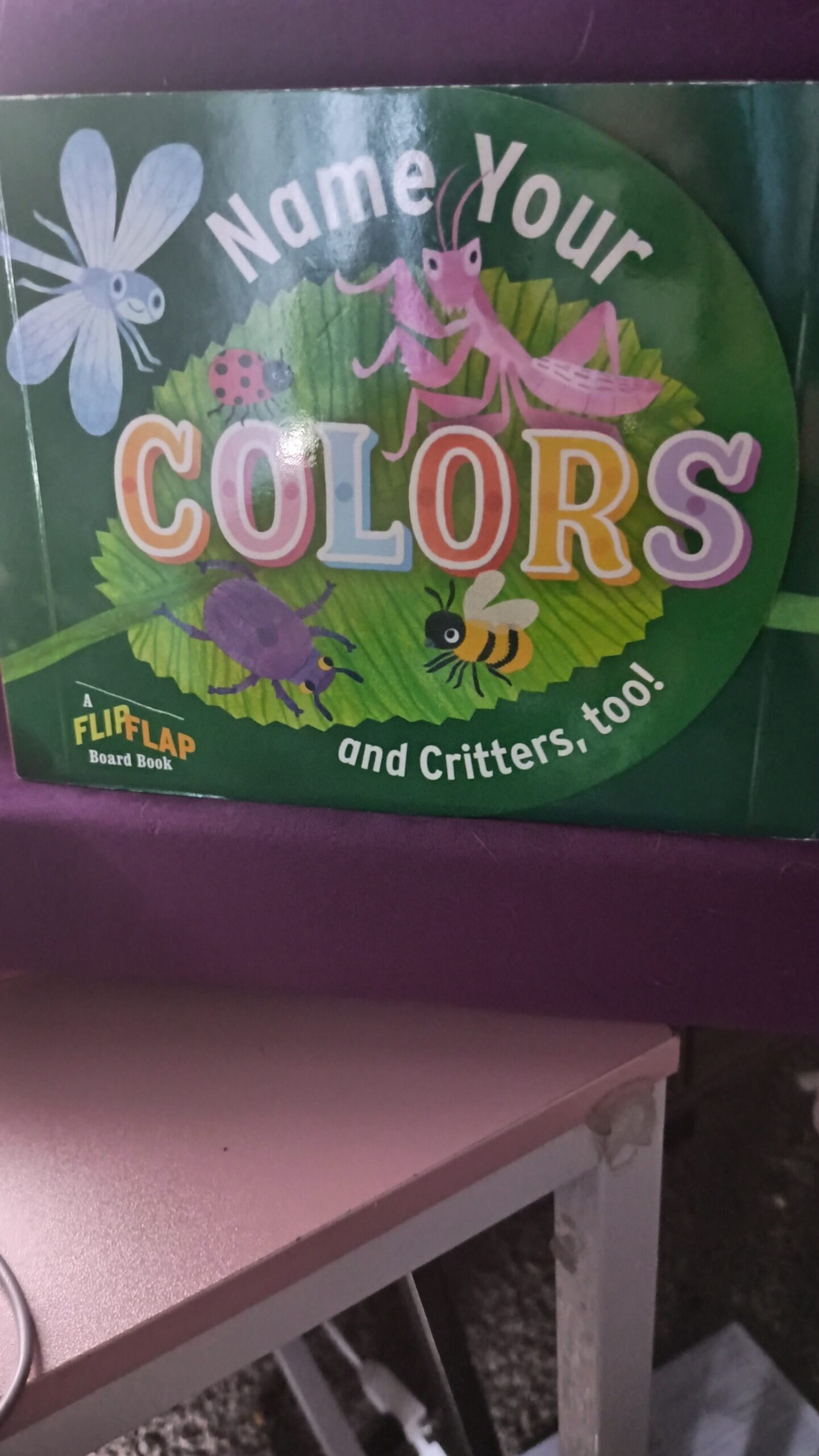 📚 Book Review: Name Your Colors (and Critters, too!) (FlipFlap Board Book)