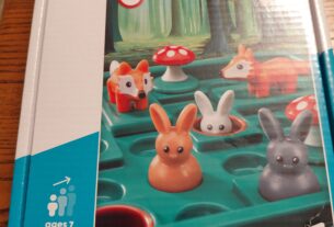Smart Games Jump In Travel Board Game Review: A Portable Puzzle Game Kids and Adults Will Love Year-Round
